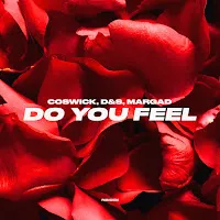 Coswick — Do You Feel Ft D&S & Margad — обложка